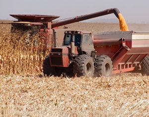 Agricultural Load Cells and Weighing Solutions