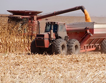 combine harvester loading grain cart