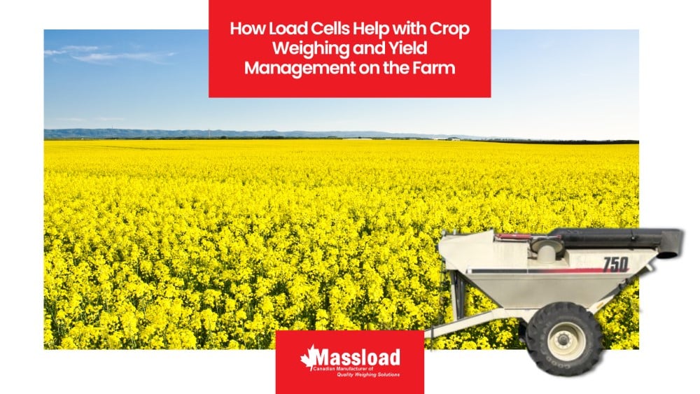How Load Cells Help with Crop Weighing and Yield Management on the Farm